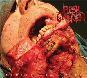 Flesh Grinder - Nomina Anatomica