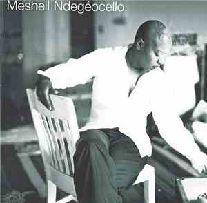 Me'Shell NdegéOcello - Extra Bitter