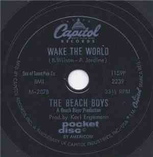 The Beach Boys - Do It Again