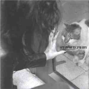 נינט טייב - כל החיות ידעו = All The Animals Knew