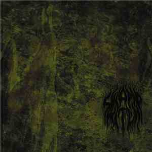 Swamp Witch - Gnosis