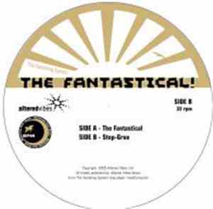 The Vanishing System - The Fantastical/Step-Gruv