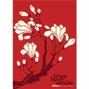 Akira & The Airborne Particles - True Love Waits