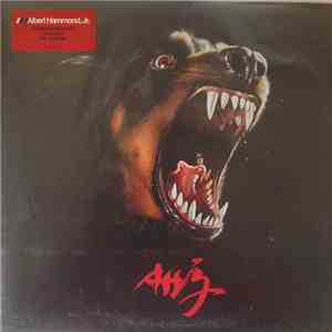 Albert Hammond, Jr. - AHJ