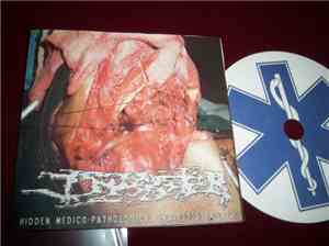 Infester , Hydropneumothorax - Split