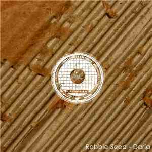 Robbie Seed - Daria