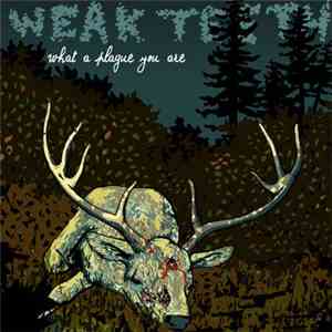 Weak Teeth - What A Plague You Are