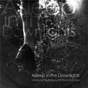Hammock / Steve Kilbey / timEbandit Powles - Asleep In The Downlights