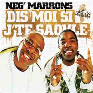 Neg'Marrons - Dis Moi Si J'Te Saoule