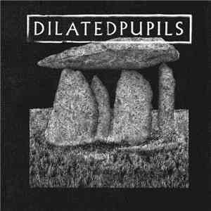 Dilated Pupils - Logique