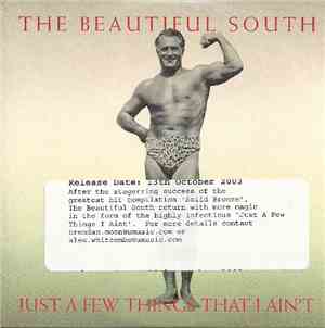 The Beautiful South - Just A Few Things That I Ain't