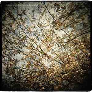 Horse Feathers - Thistled Spring