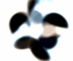 Leo Cavallo - Thoracic Three