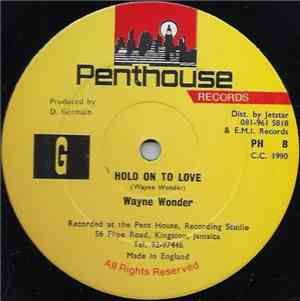 Wayne Wonder - Hold On To Love