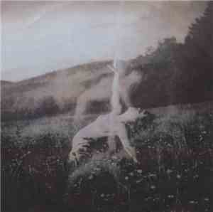 Chicaloyoh - Evaporation Of Widows