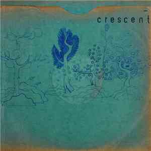 Crescent - Resin Pockets