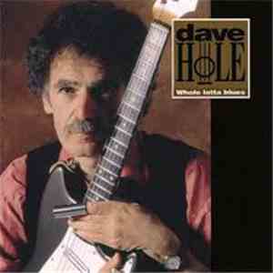 Dave Hole - Whole Lotta Blues