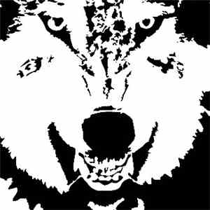 Othin Spake - The Nethack Dictionary