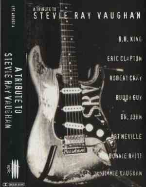 Various - A Tribute To Stevie Ray Vaughan