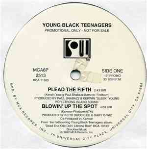 Young Black Teenagers - Plead The Fifth EP