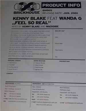 Kenny Blake - Feel So Real