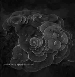 Yannick Dauby - 咾咕厝 ló​-​kó͘​-​chhù - Penghu Experimental Sound Studio Vol​ ...