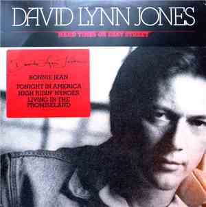 David Lynn Jones - Hard Times On Easy Street
