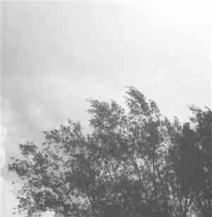 Jorge Castro - Diluvio