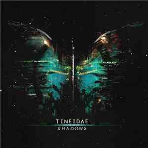Tineidae - Shadows