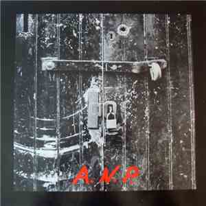 A.N.P. - Killsonic Action