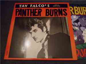 Tav Falco's Panther Burns - Behind The Magnolia Curtain / Blow Your Top