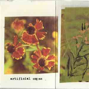 Artificial Organ - Artificial Organ