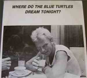 Sting - Where Do The Blue Turtles Dream Tonight ?