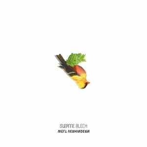 Susanne Blech - Welt Verhindern