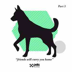 Various - Friends Will Carry You Home Part 3