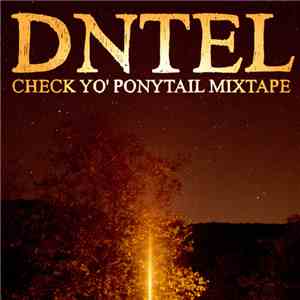 Dntel - Check Yo' Ponytail Mixtape