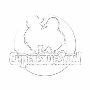Expensive Soul - B. I.