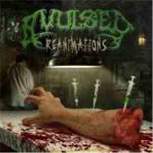 Avulsed - Reanimations