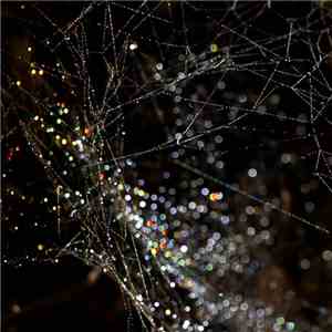 Oscar Patisson - Strings