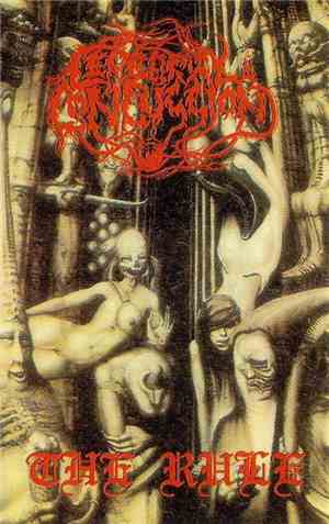 Cerebral Concussion - The Rule