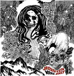 Destruction Unit - Void