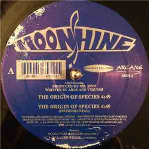 Moonshine  - Origin Of Species