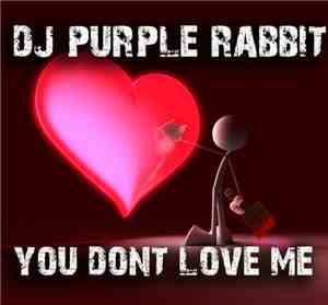 DJ Purple Rabbit - You Don't Love Me