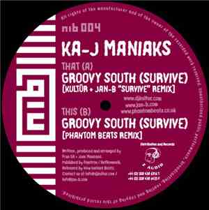 Ka-J Maniaks - Groovy South (Survive)