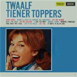 Various - Twaalf Tiener Toppers