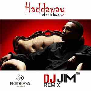 Haddaway With DJ Jim (RU) - What Is Love  (Remix)