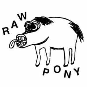 Raw Pony - Bo Diddley