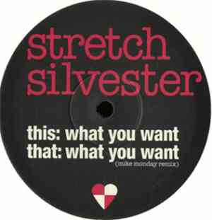 Stretch Silvester - What You Want
