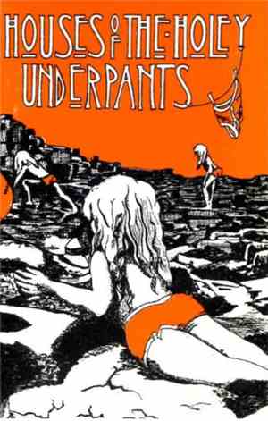 The Velvet Underpants - Houses Of The Holey Underpants