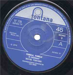 Wayne Fontana - Pamela, Pamela